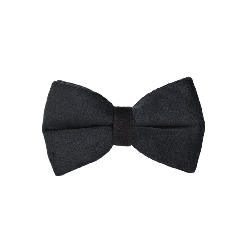Pet Collar Image 6
