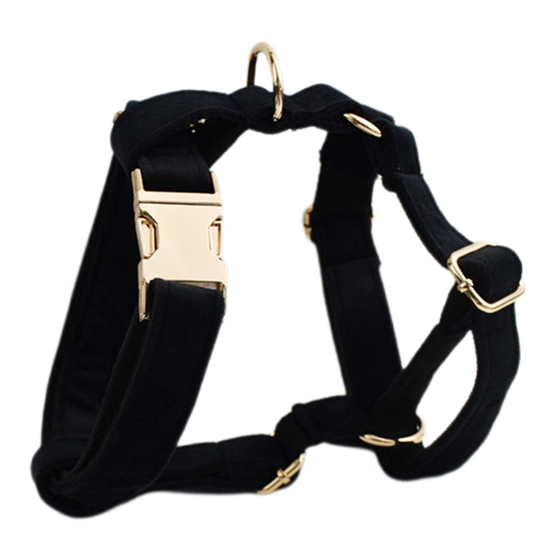 Pet Collar Image 8