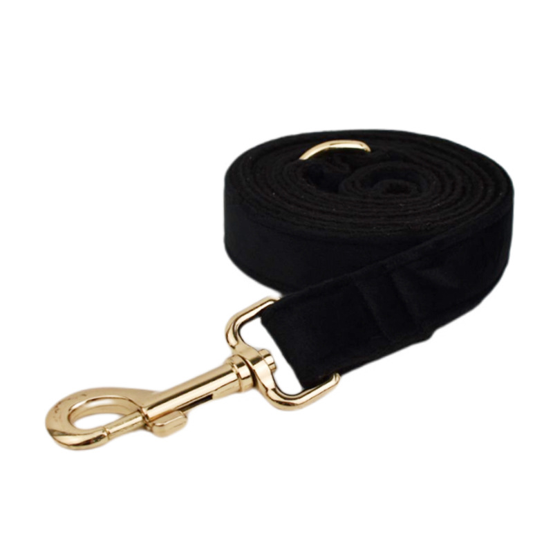 Pet Collar Image 2
