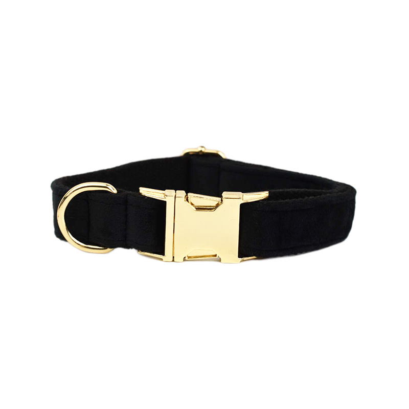 Pet Collar Image 5