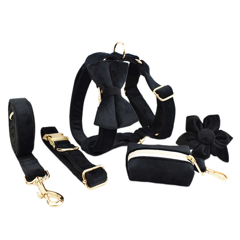 Pet Collar Image 4