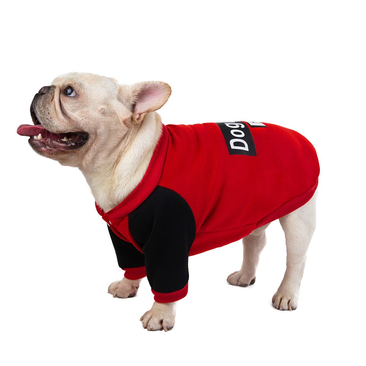 Pet Sweater 6