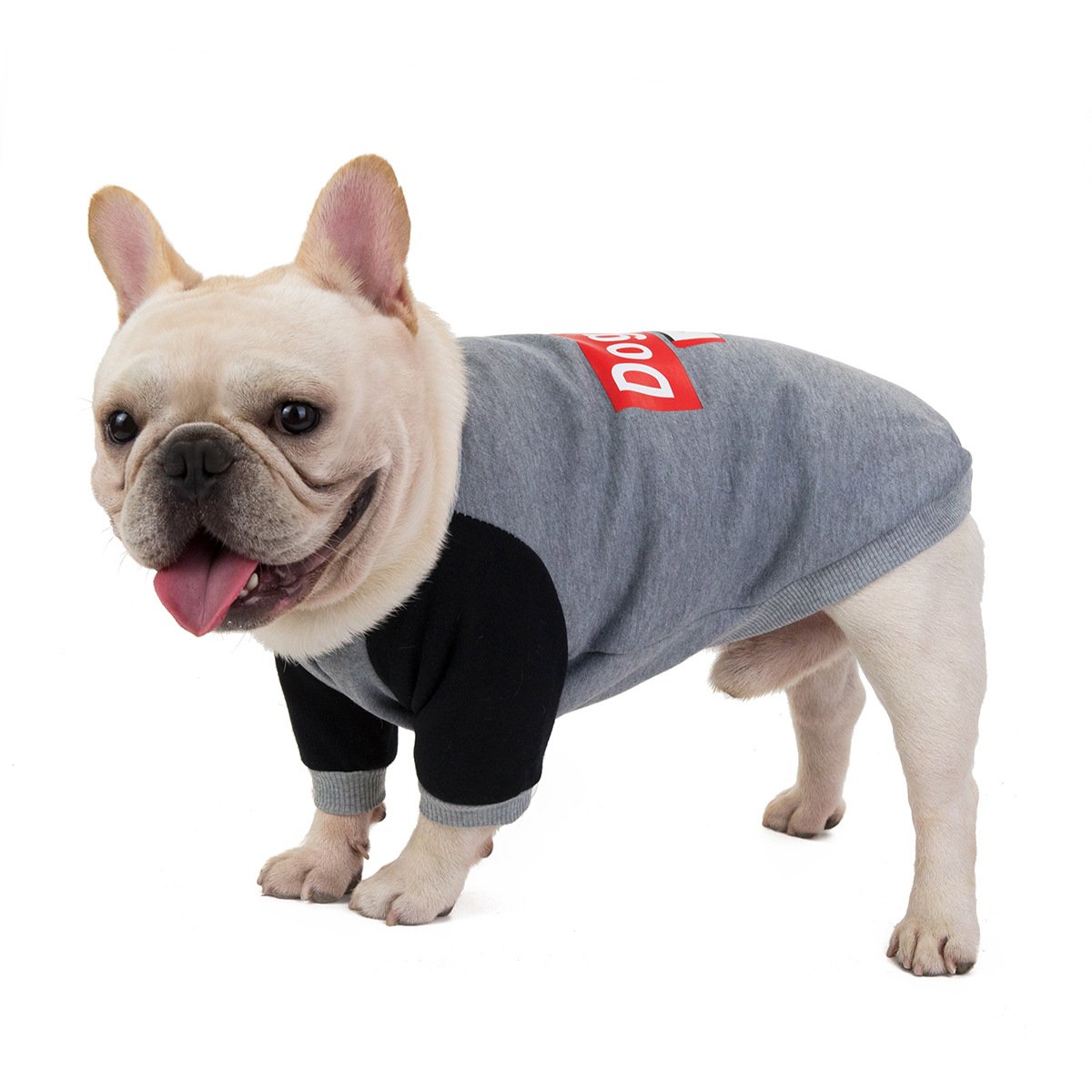 Pet Sweater 2