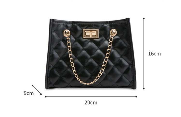 Mini Chain Shoulder Bag