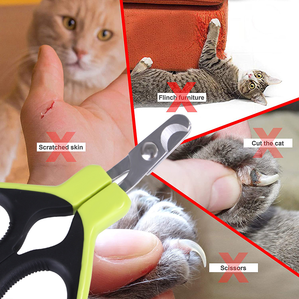 Pet Grooming Supplies