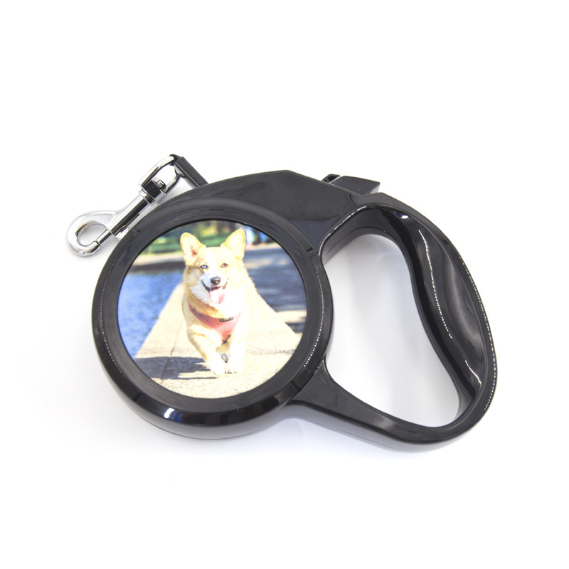 Dog Leash Image 1