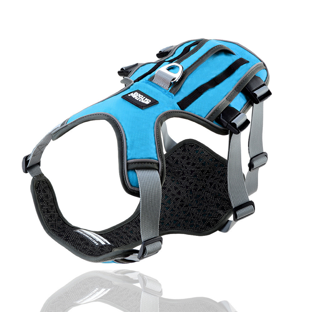 Perfect for All Breeds