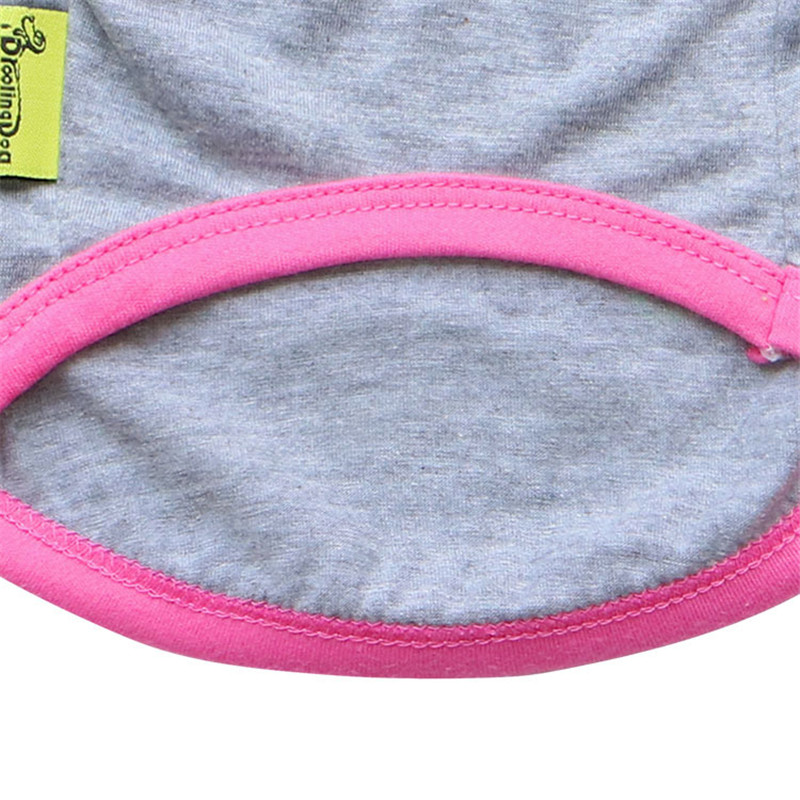 Casual Dog Fashion