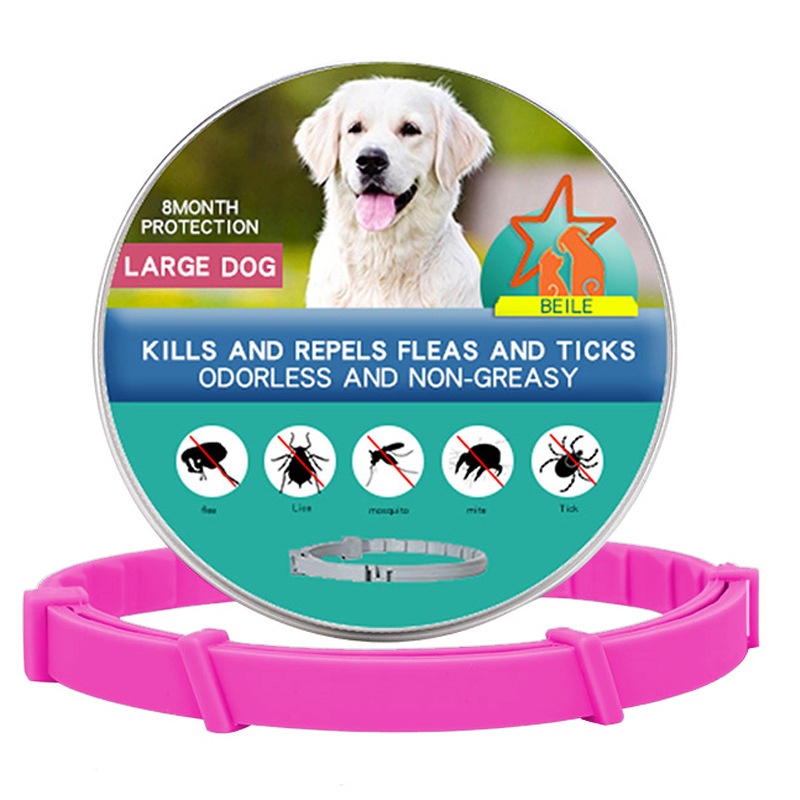Cat Dog Collar Image 15