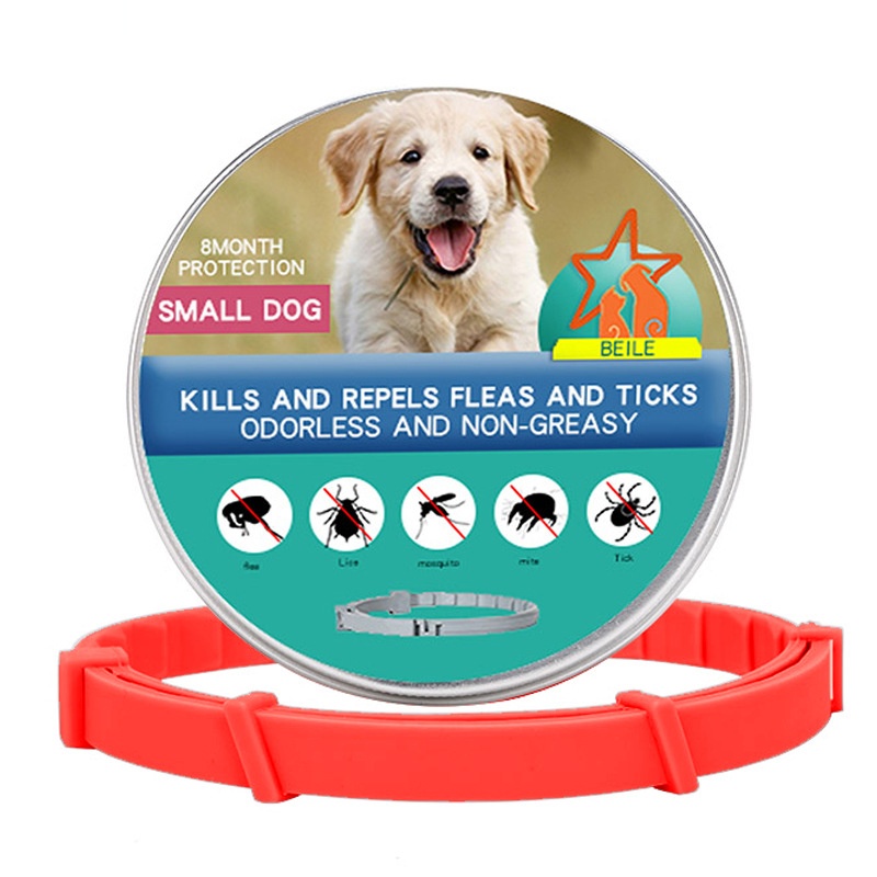 Cat Dog Collar Image 18