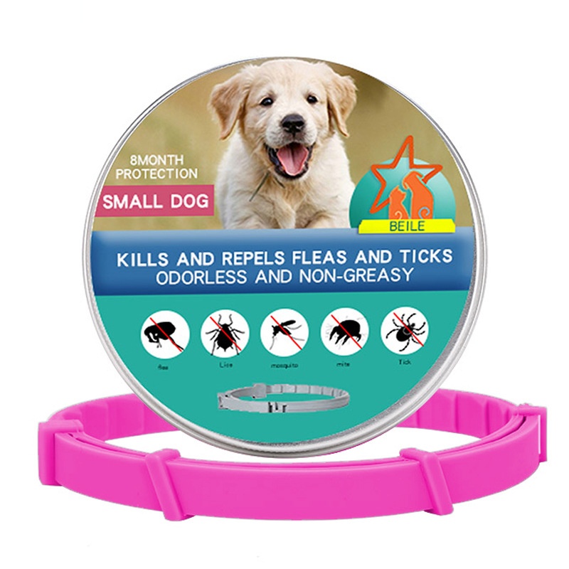 Cat Dog Collar Image 1