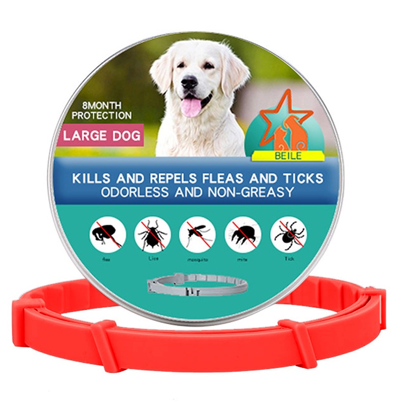 Cat Dog Collar Image 14