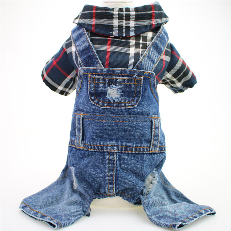 Dog in blue plaid jumpsuit