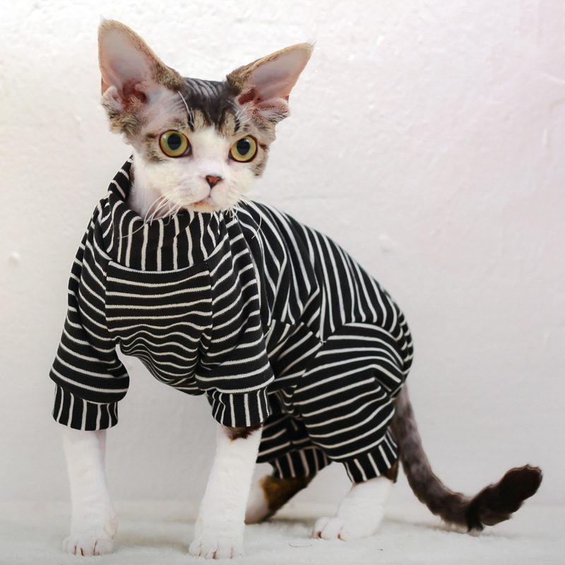 Derong Tummy Protection Sweater Image 5