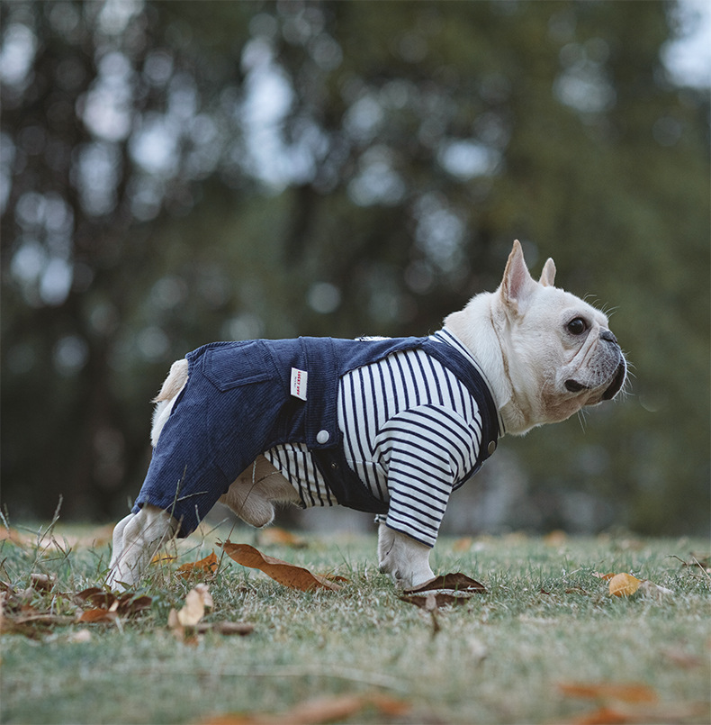 Cotton Stretch Corduroy Four-Legged Shirt - Image 2