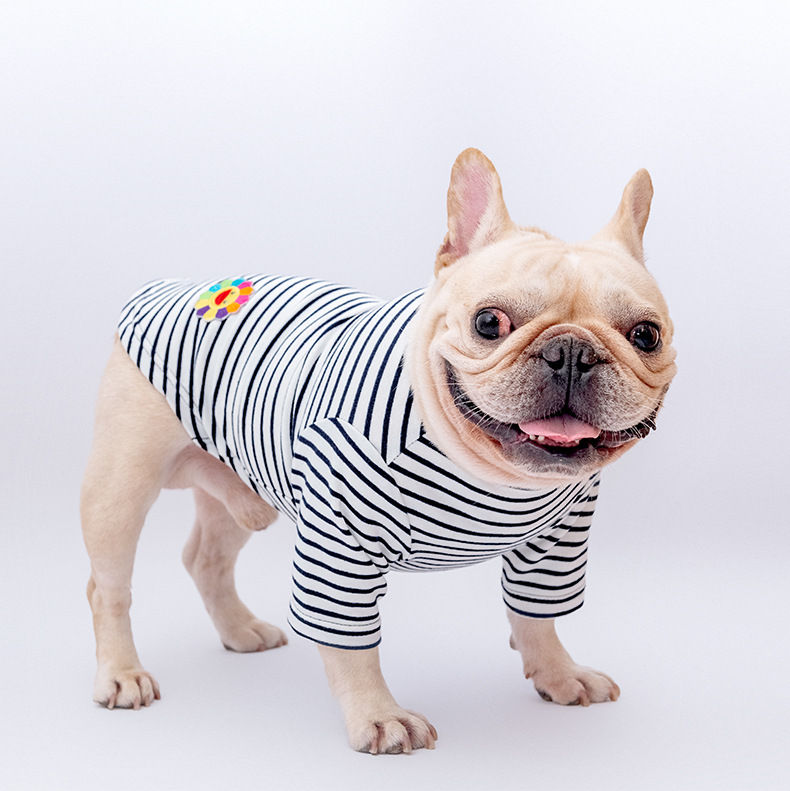 Cotton Stretch Corduroy Four-Legged Shirt - Image 1