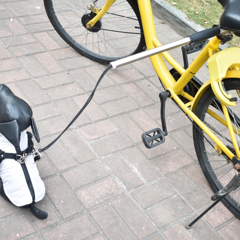 Image 5 de la laisse de vélo