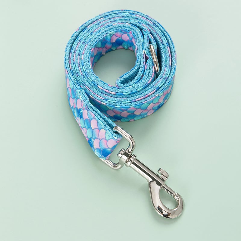 Stylish Dog Collar