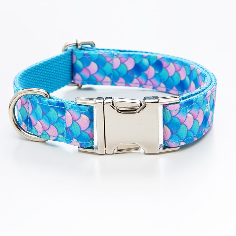 Blue Pet Leash