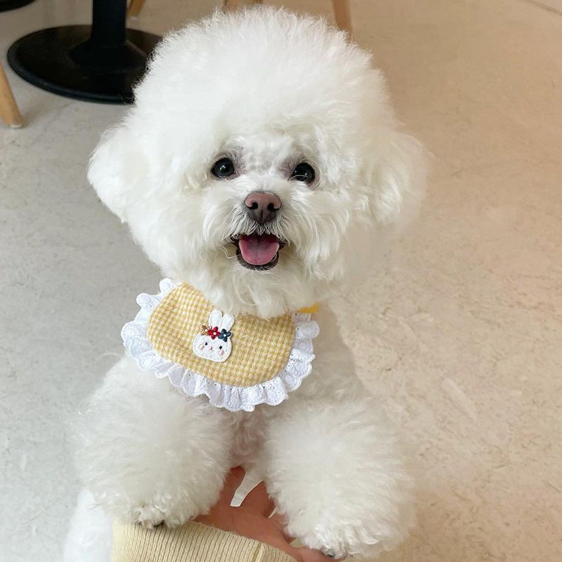 Cute Dog Bib 6