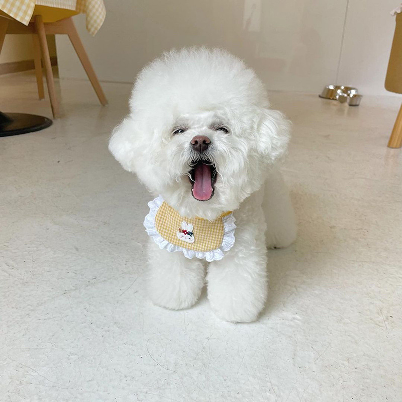 Cute Dog Bib 3