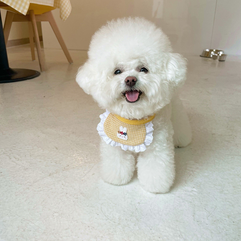 Cute Dog Bib 5