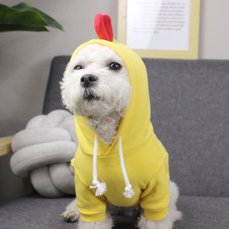 Dinosaur Pet Clothing