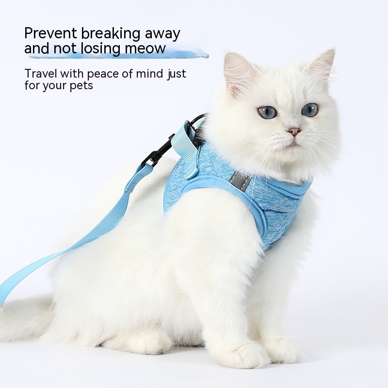 Fashion Dog Walking Chain Rope on a dog