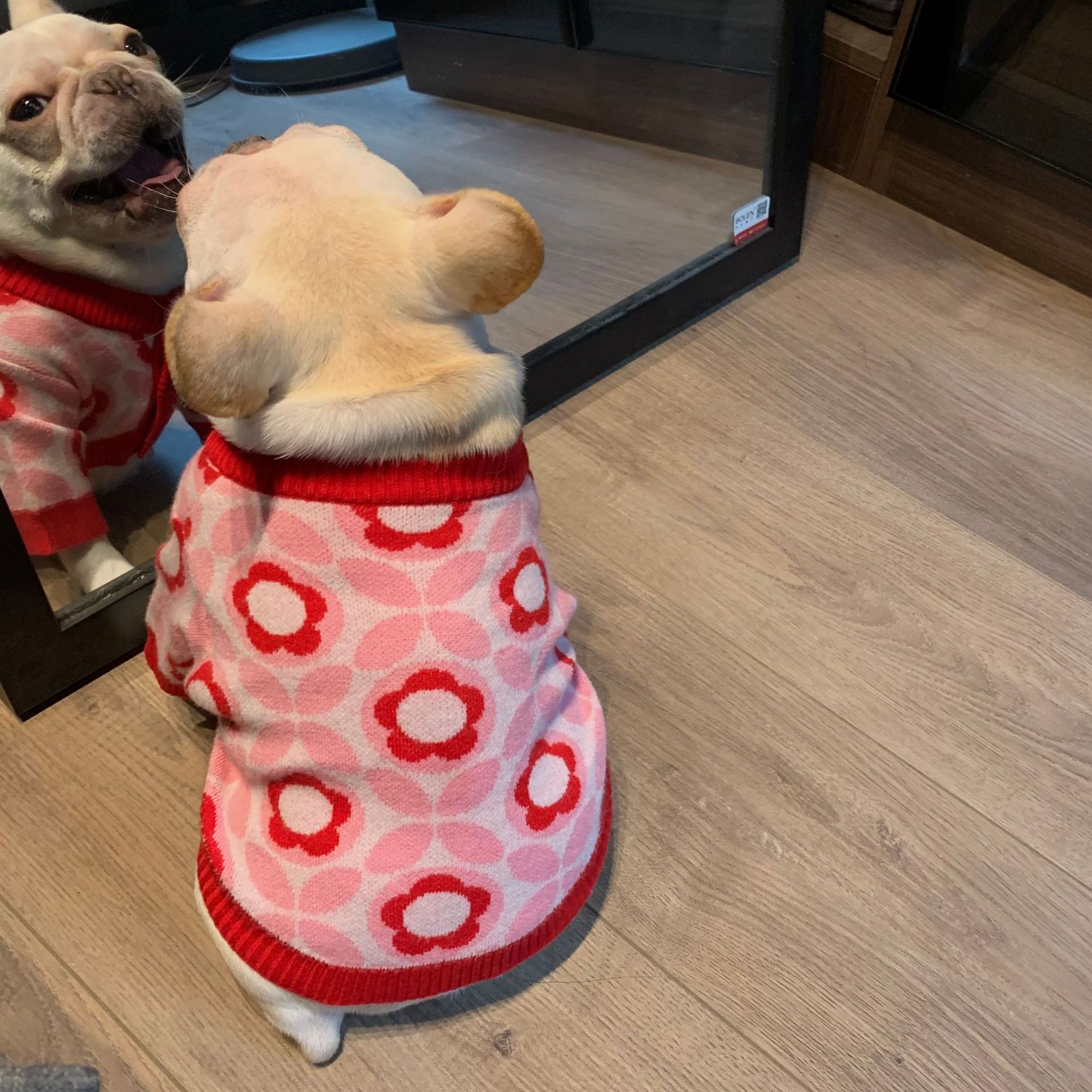 Stylish Dog Sweater