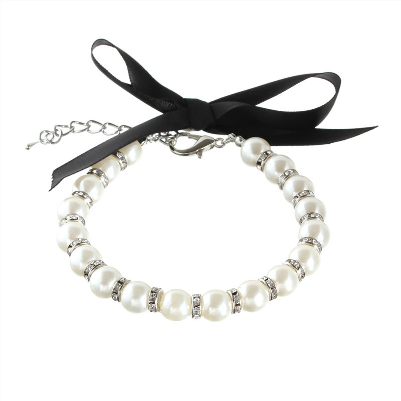 Fashionable Dog Collar