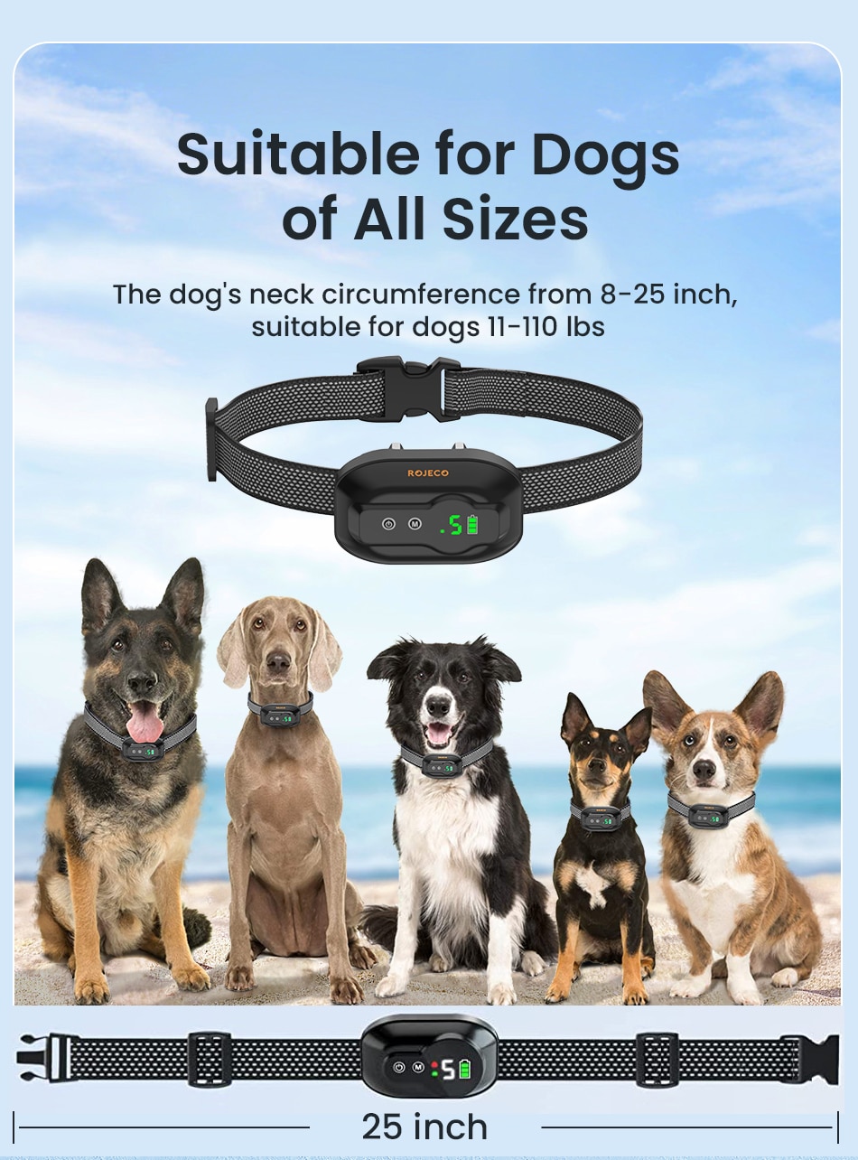Intelligent Pet Collar