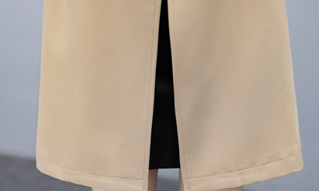 Trench Coat Beige