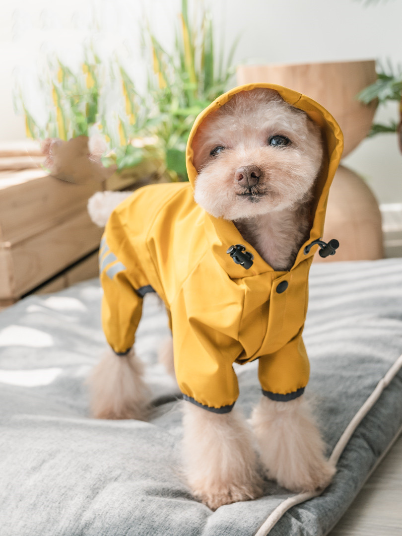 Perfect for rainy days
