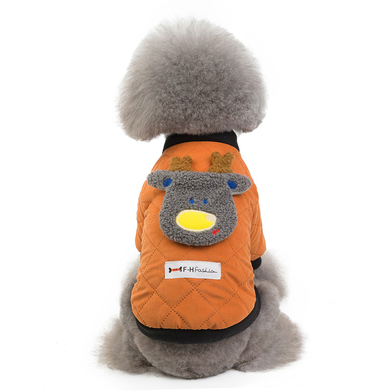 Stylish Dog in Winter Jacket