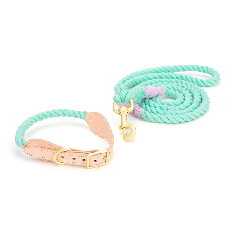 Dog Leash Color Options