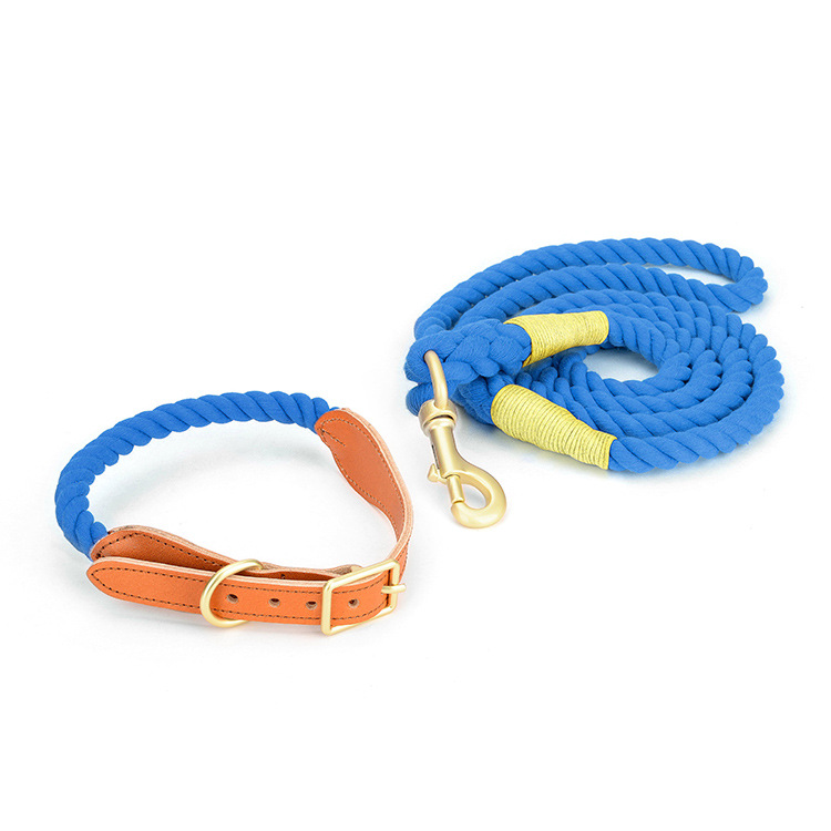 Stylish Dog Leash