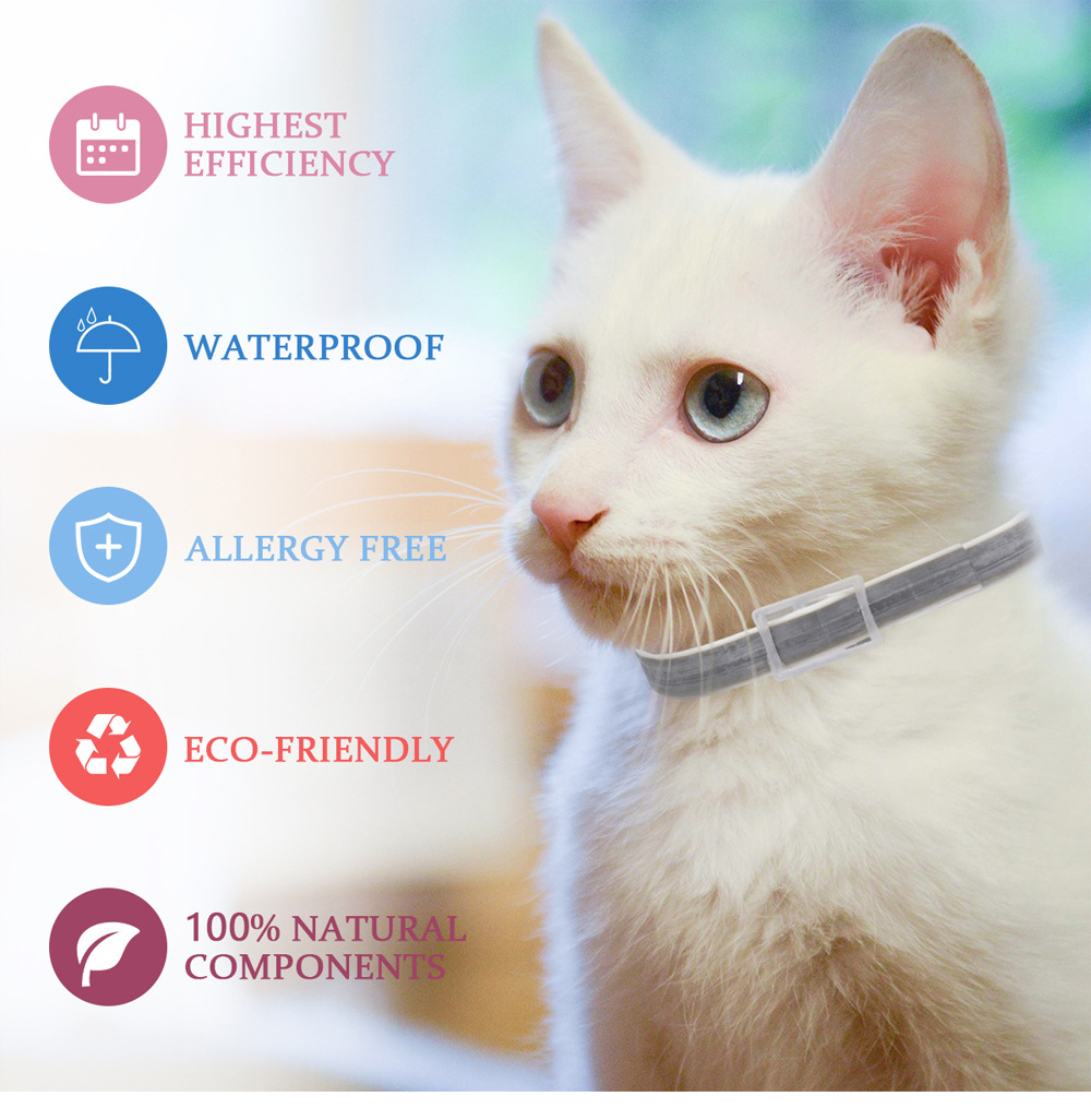 Flea Collar Image 2