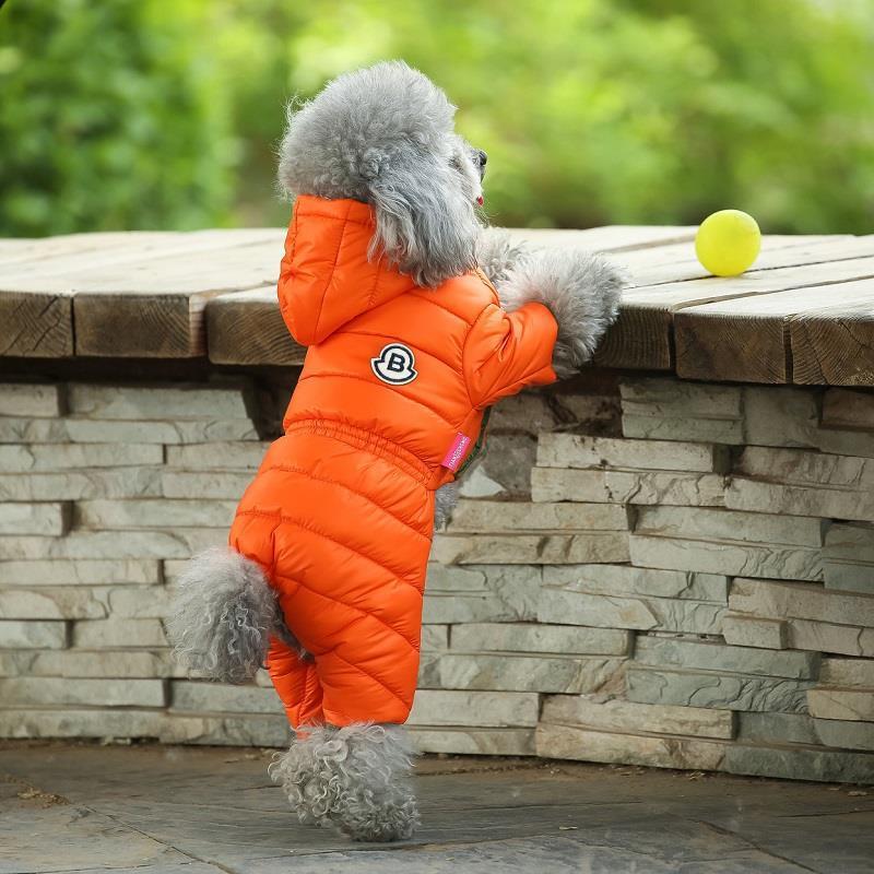 Small Dog Winter Coats