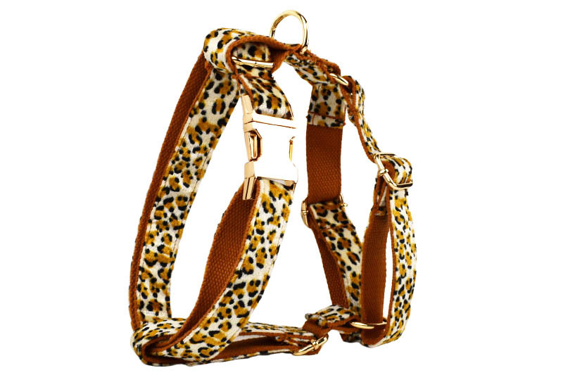 Dog Leash 10