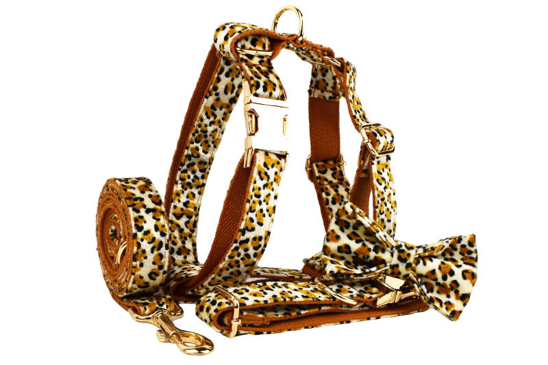 Dog Leash 5