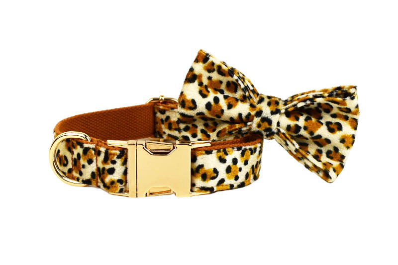 Dog Leash 2