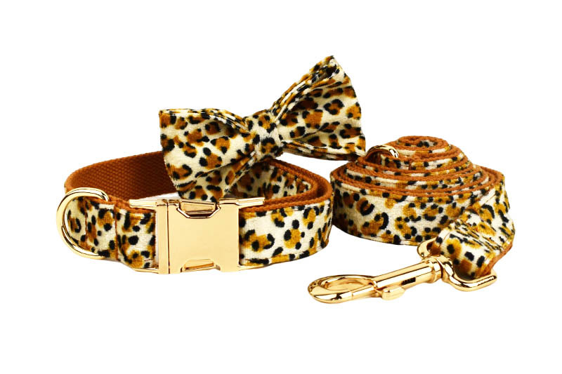 Dog Leash 7
