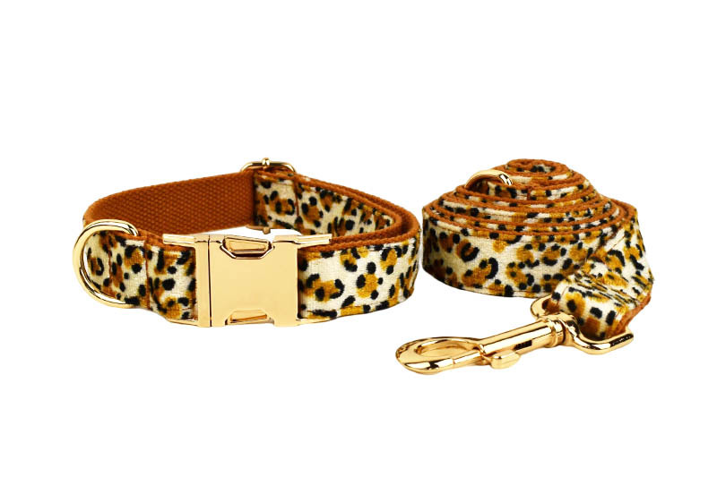 Dog Leash 3