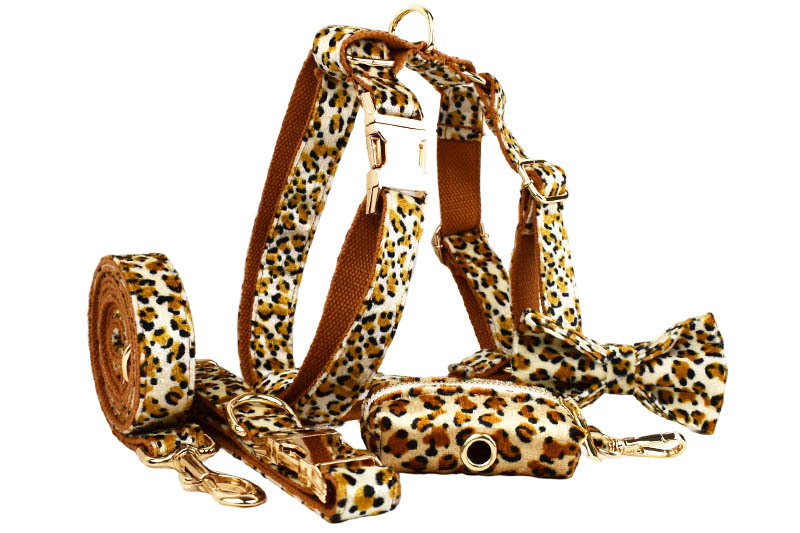 Dog Leash 4