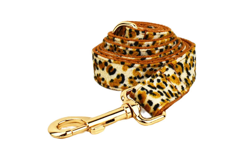 Dog Leash 6
