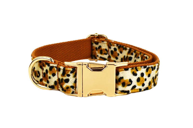 Dog Leash 11