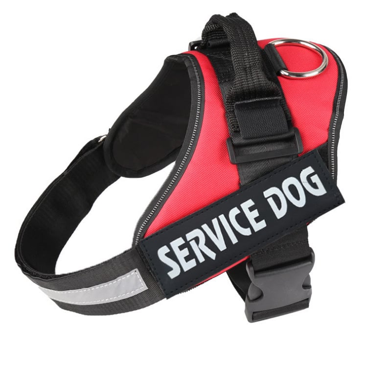 Pet Traction Chest Strap Image 11