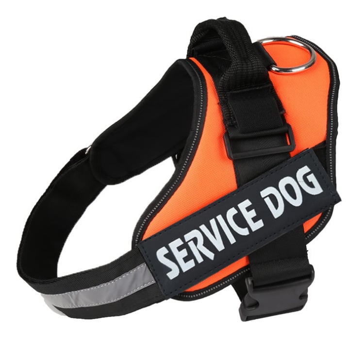 Pet Traction Chest Strap Image 3