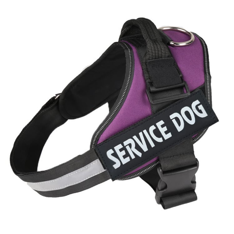 Pet Traction Chest Strap Image 9