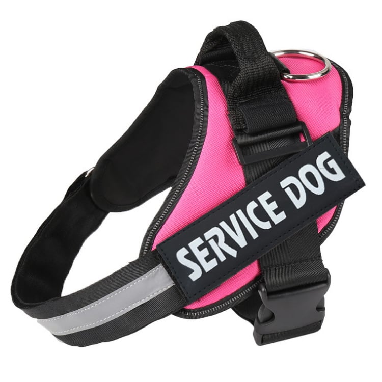 Pet Traction Chest Strap Image 4
